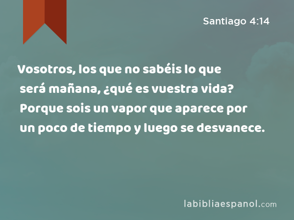 Vosotros, los que no sabéis lo que será mañana, ¿qué es vuestra vida? Porque sois un vapor que aparece por un poco de tiempo y luego se desvanece. - Santiago 4:14