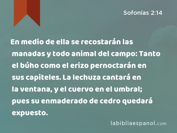 En medio de ella se recostarán las manadas y todo animal del campo: Tanto el búho como el erizo pernoctarán en sus capiteles. La lechuza cantará en la ventana, y el cuervo en el umbral; pues su enmaderado de cedro quedará expuesto. - Sofonías 2:14