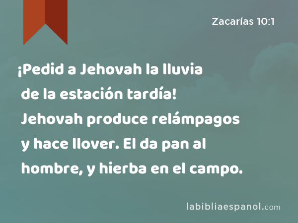 ¡Pedid a Jehovah la lluvia de la estación tardía! Jehovah produce relámpagos y hace llover. El da pan al hombre, y hierba en el campo. - Zacarías 10:1