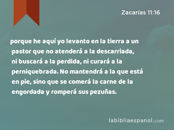 porque he aquí yo levanto en la tierra a un pastor que no atenderá a la descarriada, ni buscará a la perdida, ni curará a la perniquebrada. No mantendrá a la que está en pie, sino que se comerá la carne de la engordada y romperá sus pezuñas. - Zacarías 11:16