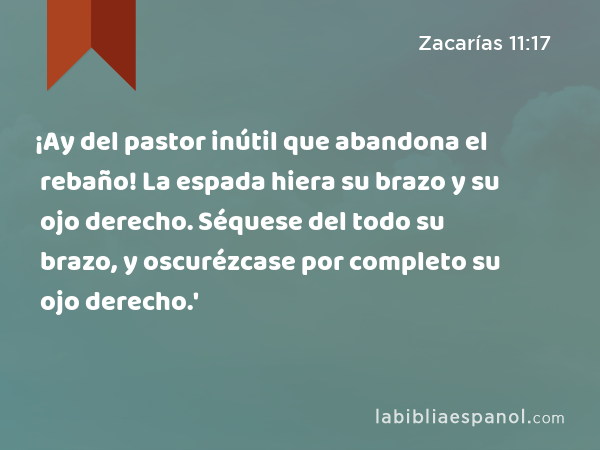 ¡Ay del pastor inútil que abandona el rebaño! La espada hiera su brazo y su ojo derecho. Séquese del todo su brazo, y oscurézcase por completo su ojo derecho.' - Zacarías 11:17