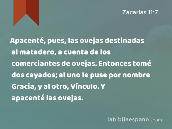 Apacenté, pues, las ovejas destinadas al matadero, a cuenta de los comerciantes de ovejas. Entonces tomé dos cayados; al uno le puse por nombre Gracia, y al otro, Vínculo. Y apacenté las ovejas. - Zacarías 11:7