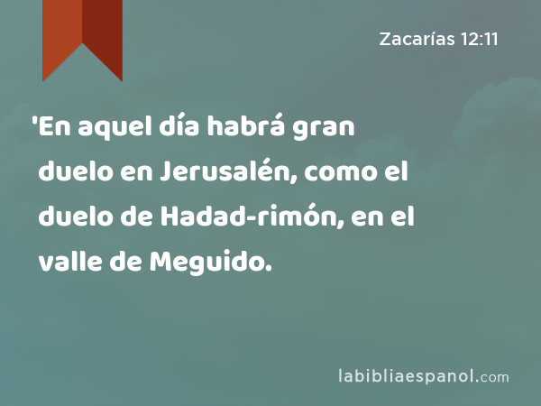 'En aquel día habrá gran duelo en Jerusalén, como el duelo de Hadad-rimón, en el valle de Meguido. - Zacarías 12:11