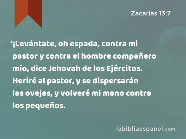 '¡Levántate, oh espada, contra mi pastor y contra el hombre compañero mío, dice Jehovah de los Ejércitos. Heriré al pastor, y se dispersarán las ovejas, y volveré mi mano contra los pequeños. - Zacarías 13:7